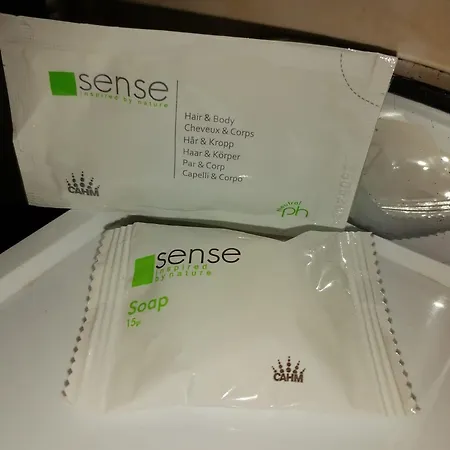 Bcm Family House Pensionat